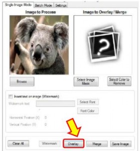 Step 3 How to add a Border
