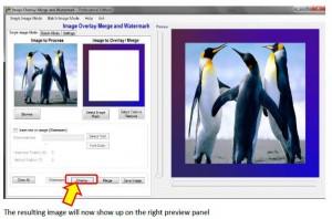 Overlay an Image